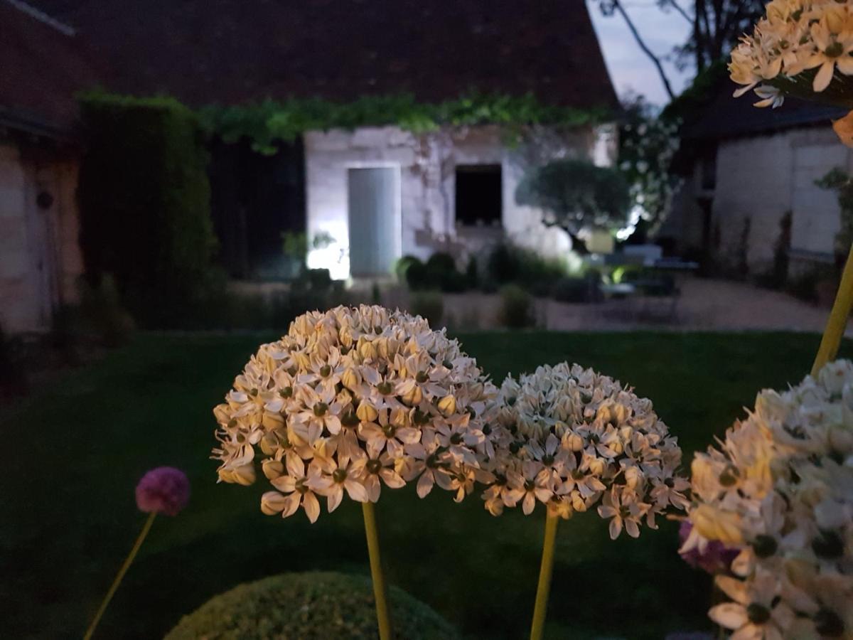 Le Clos Falaw Azay-sur-Cher Extérieur photo